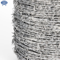 100M POPULAR SIZE HOT DIPPED GALVANIZED BARBED Wire